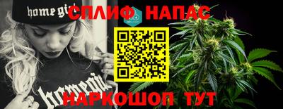 индика Краснознаменск