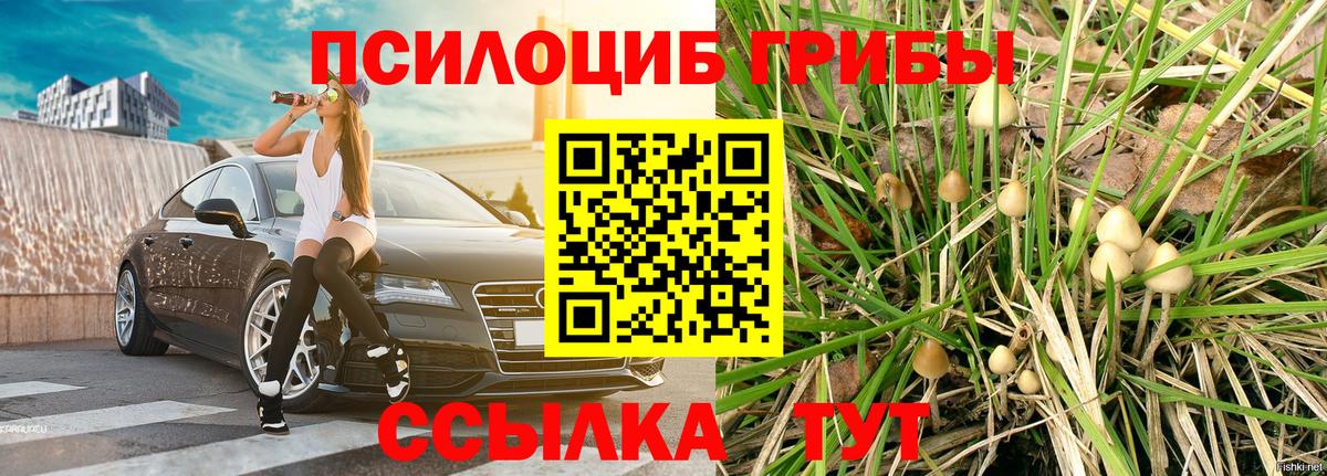 Галлюциногенные грибы Magic Shrooms Каспийск