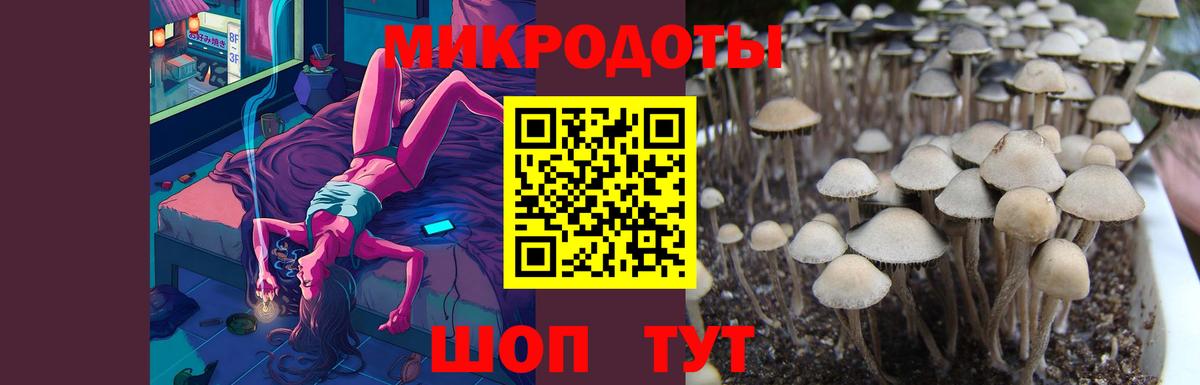 Каспийск  Псилоцибиновые грибы Magic Shrooms  Вход с VPN 