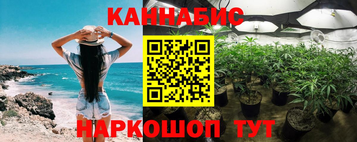 Каннабис индика  Марихуана индика  Вход с VPN  Каспийск  Марихуана планчик 